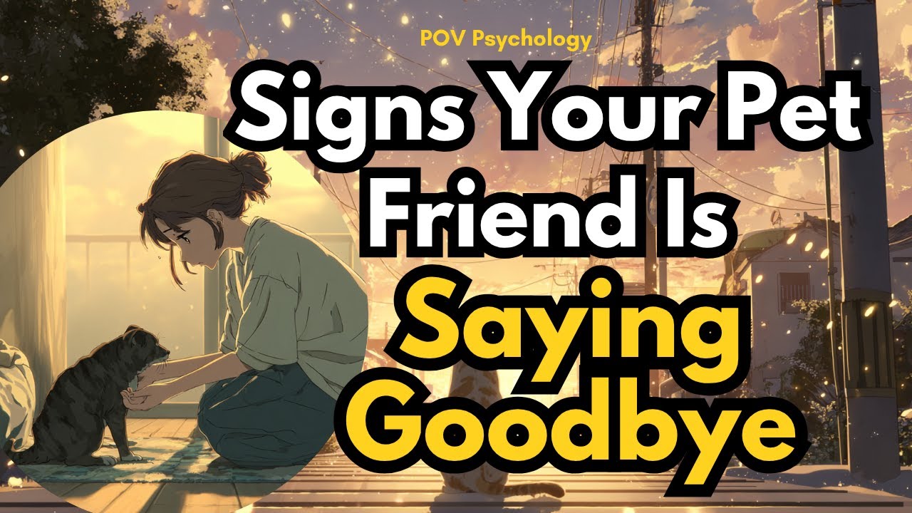 The Silent Signs Your Pet Gives Before Saying Goodbye