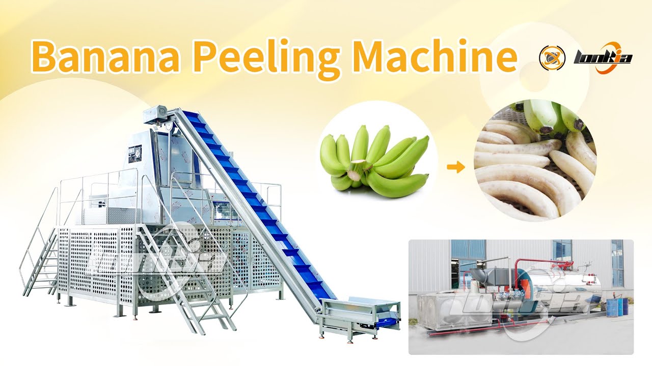 Banana Peeling Machine for Industrial Fruit Processing Using Steam Peeling Technology