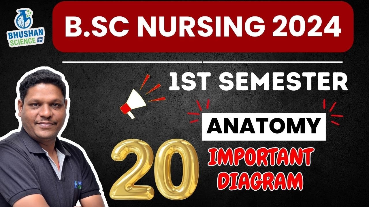 Anatomy का सभी Important Diagrams - इससे बाहर Exam में नहीं आएगा ! B.Sc. Nursing 1st SEM 2024