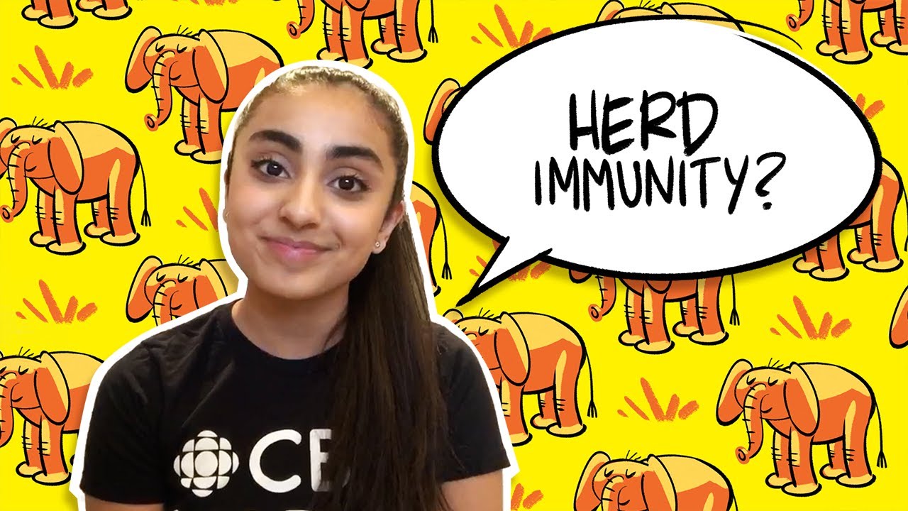 What does herd immunity mean? | CBC Kids News
