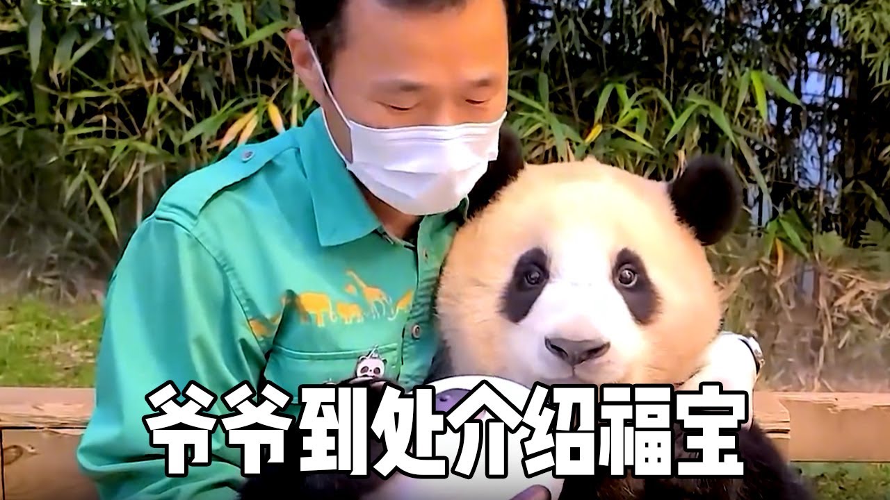 爷爷到处介绍福宝，给乐宝看女儿出生视频，真是操碎了心【蛙探】