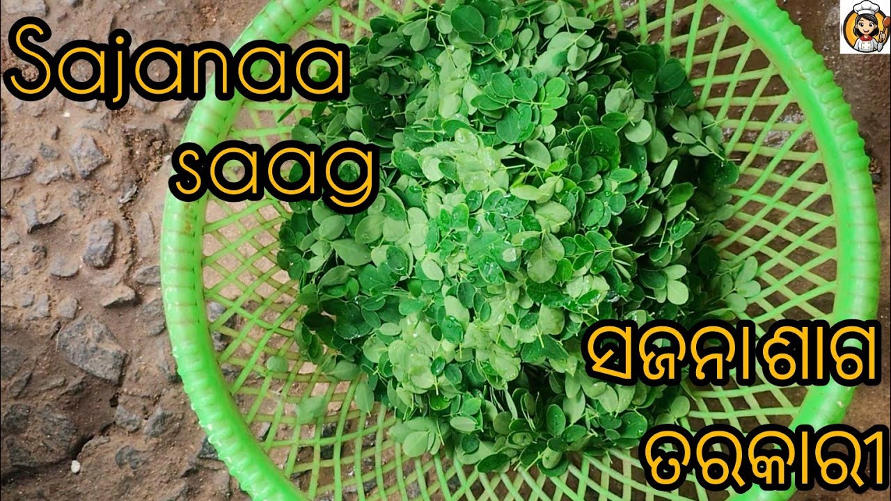 ସଜନା ଶାଗ ତରକାରୀ 😍🌿!! Sajana saga tarkari!! #minivlog #viralvideo #cooking #youtubeshorts #shorts 