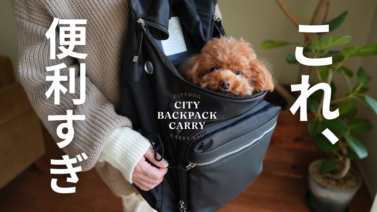 【犬用キャリーの正解】このバックパック、ガチで便利です！
