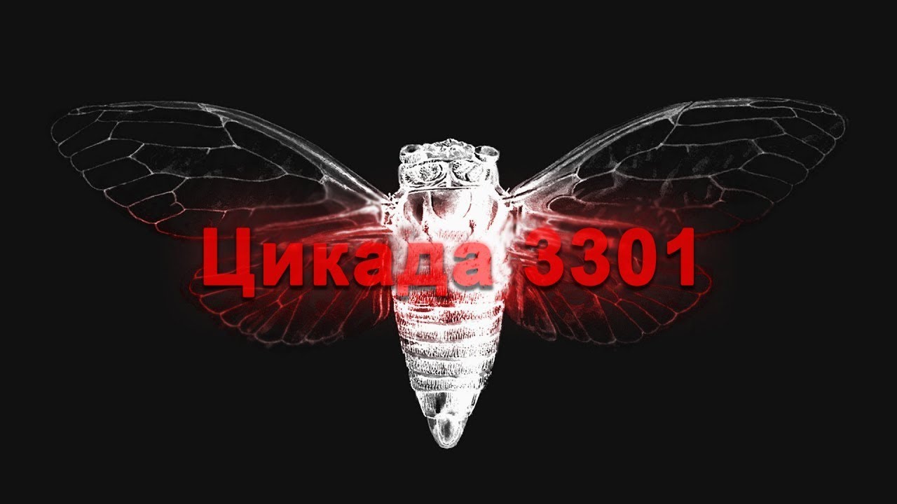 Интернет тайна: Цикада 3301