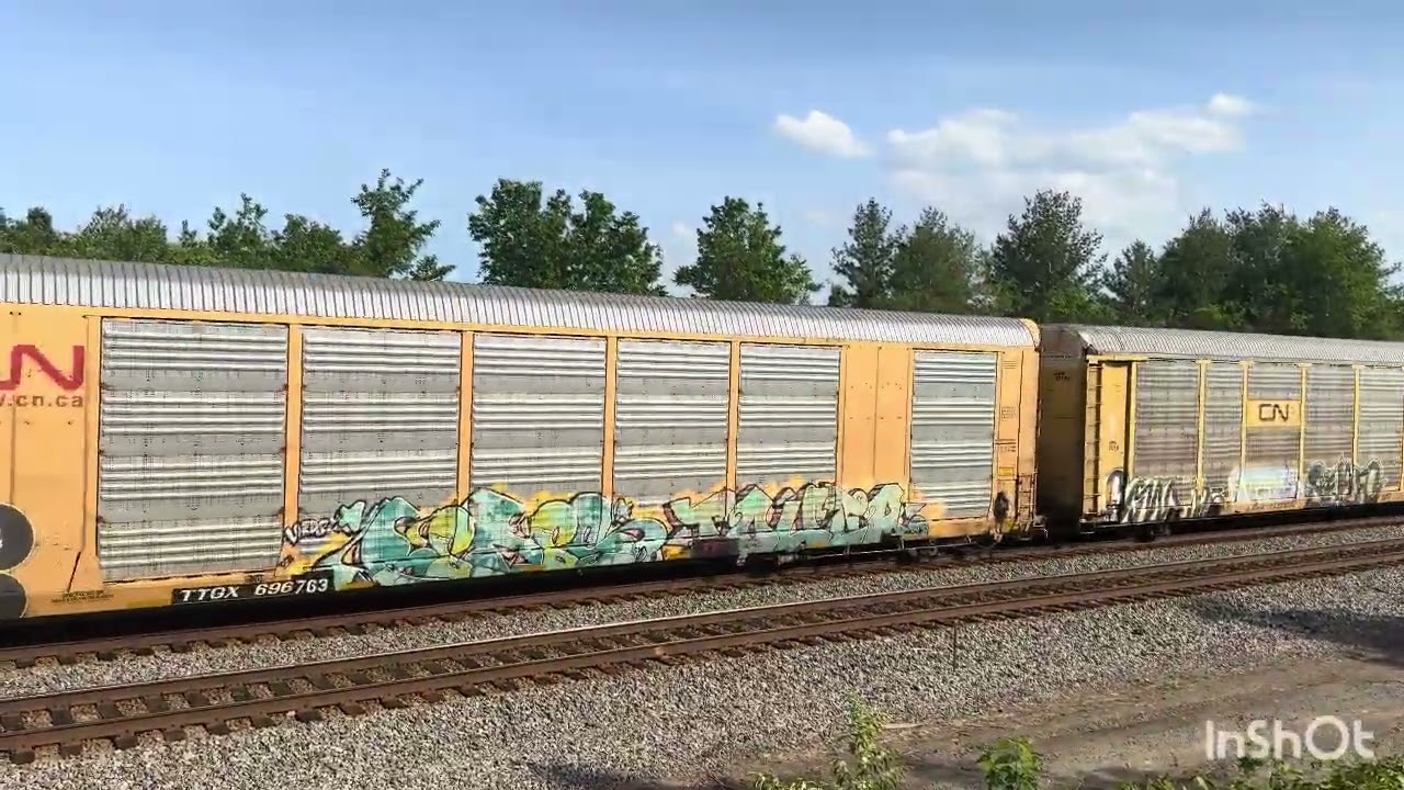 Train Spotting Potomac Yard Park 2025 #12