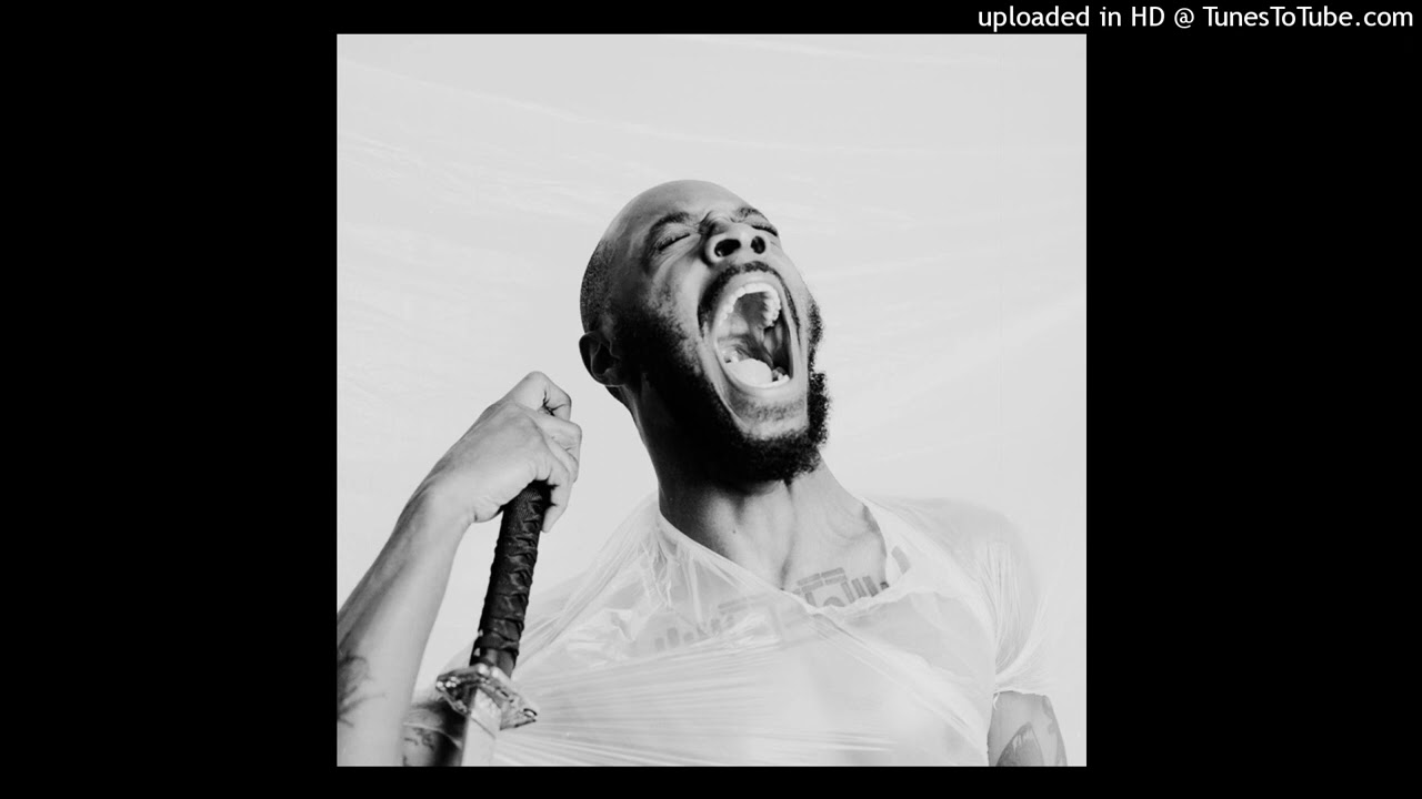 [FREE] JPEGMAFIA TYPE BEAT - "whiteboy trash"