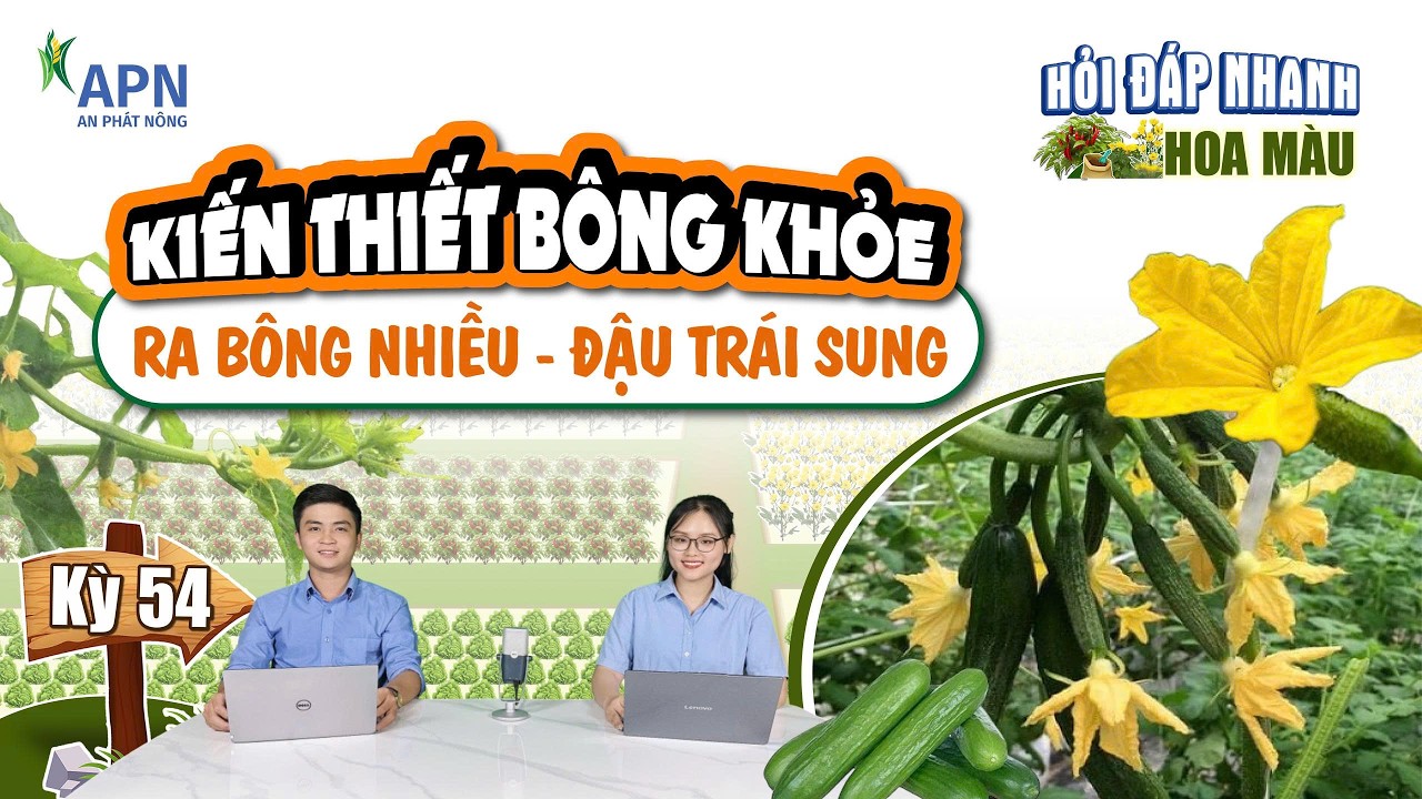 APN - KIẾN THIẾT BÔNG TRÁI SUNG KHOẺ | NHỜ NẮM VỮNG CÁC KỸ THUẬT SAU