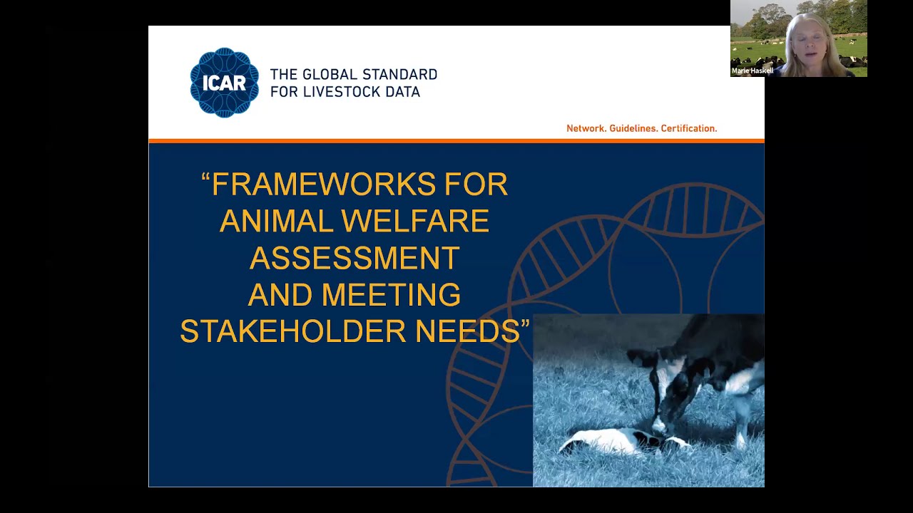 ICAR Webinar on 