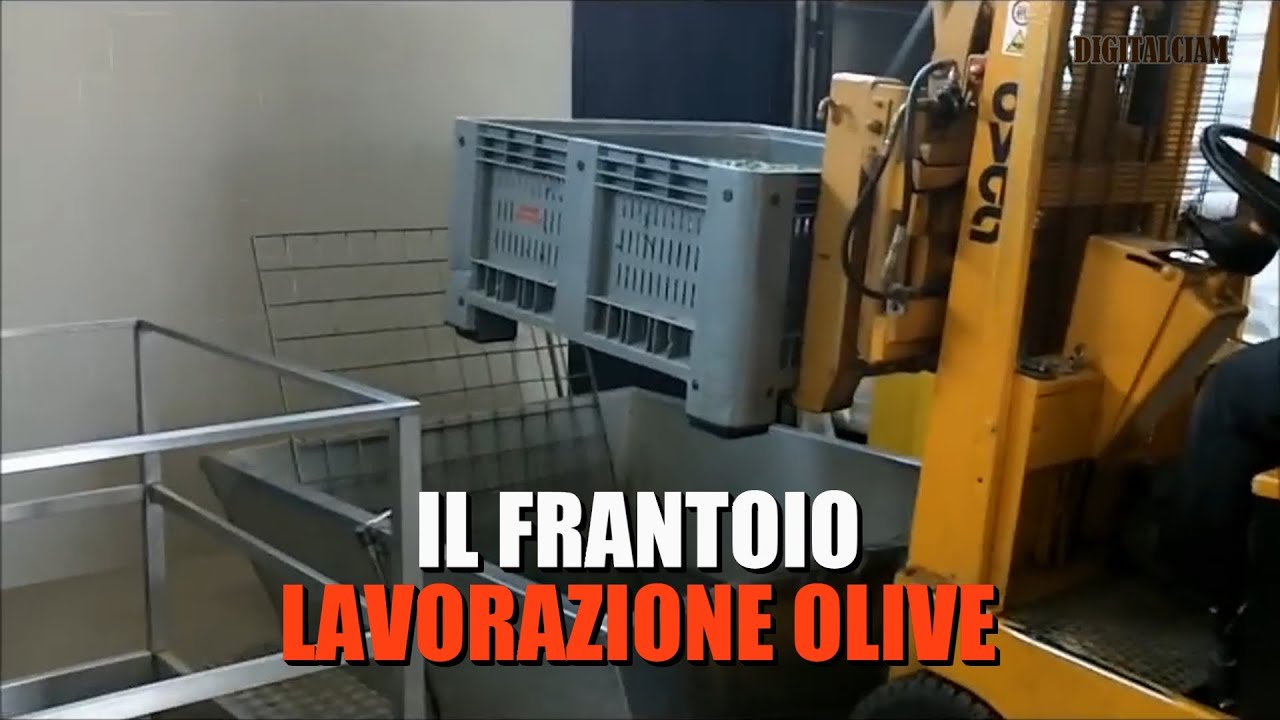 Frantoio moderno, Castro dei Volsci.