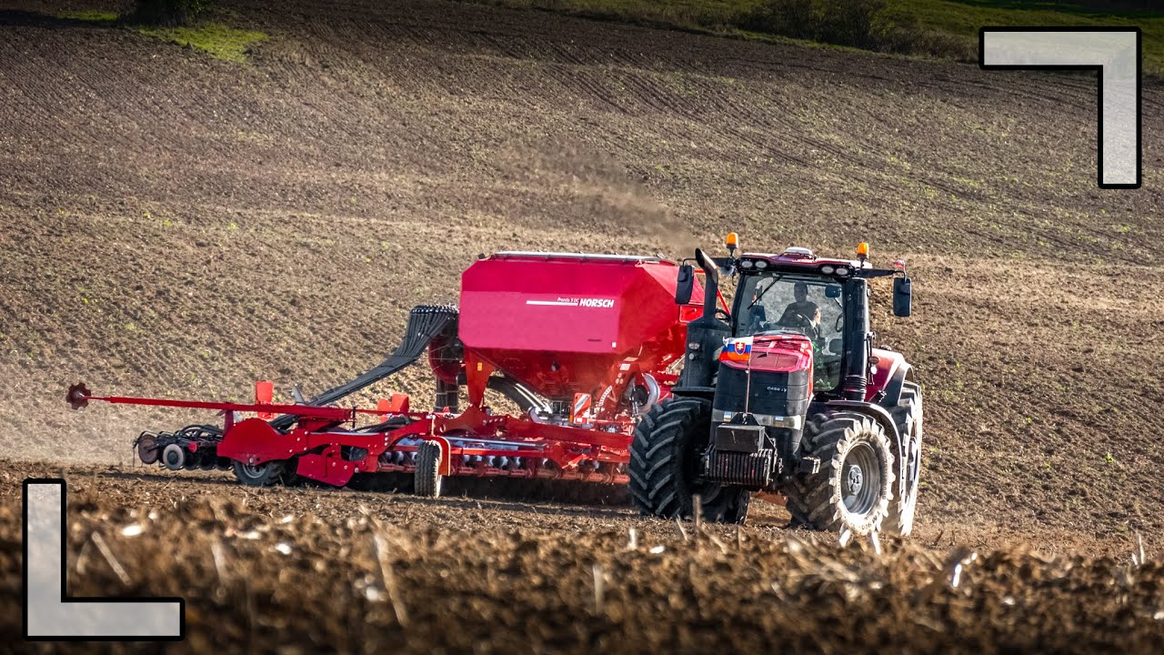 CASE IH MAGNUM 380 & HORSCH Pronto 9 DC | Sejba na Orave