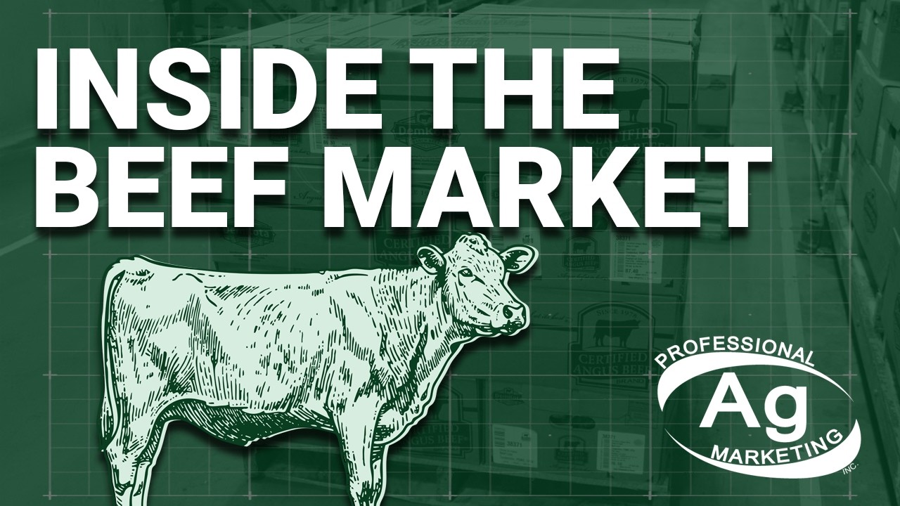 Inside the Beef Market | Cattle Talk March 13th, 2026