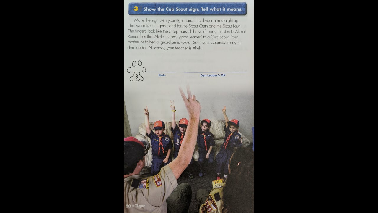 Let's Learn the Scout Sign!