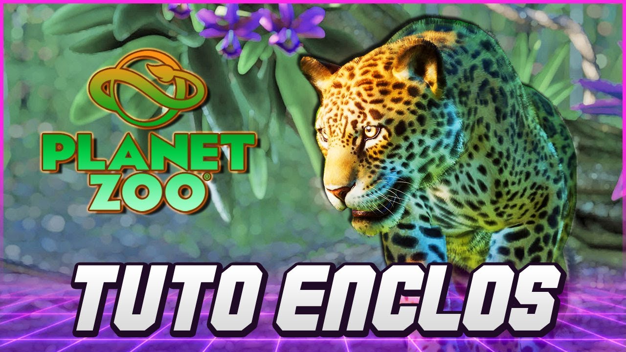 Tuto Enclos Optimisé ✦ Guide du débutant ✦ Planet Zoo Franchise