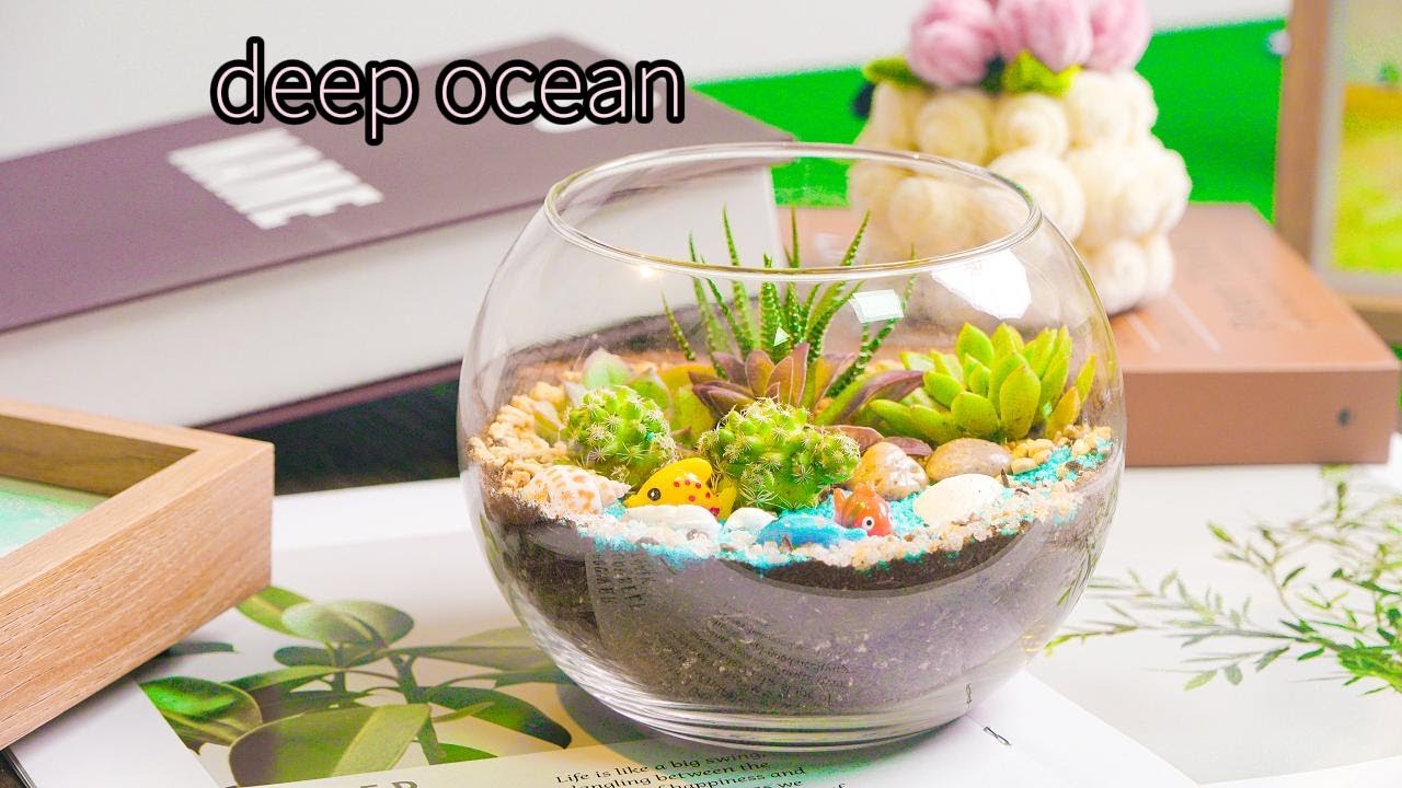3 The world of succulents, heal your little universe