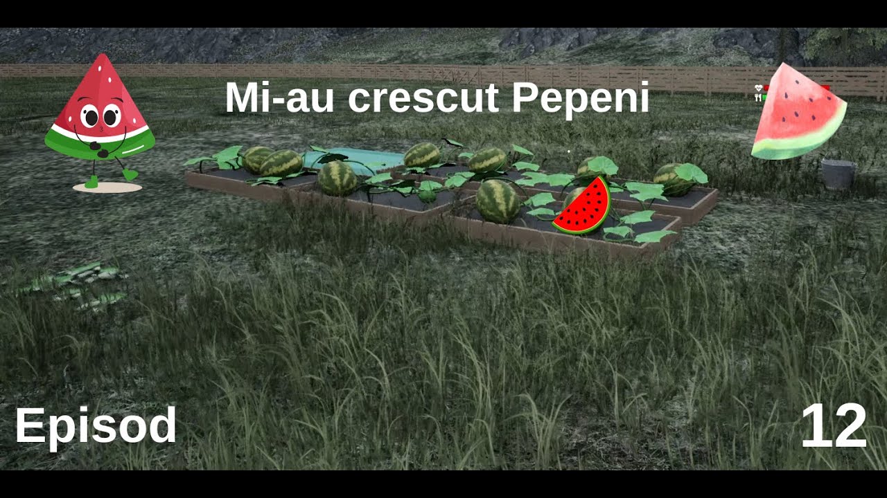 Mi-au crescut pepeni,cati bani am luat pe ei?