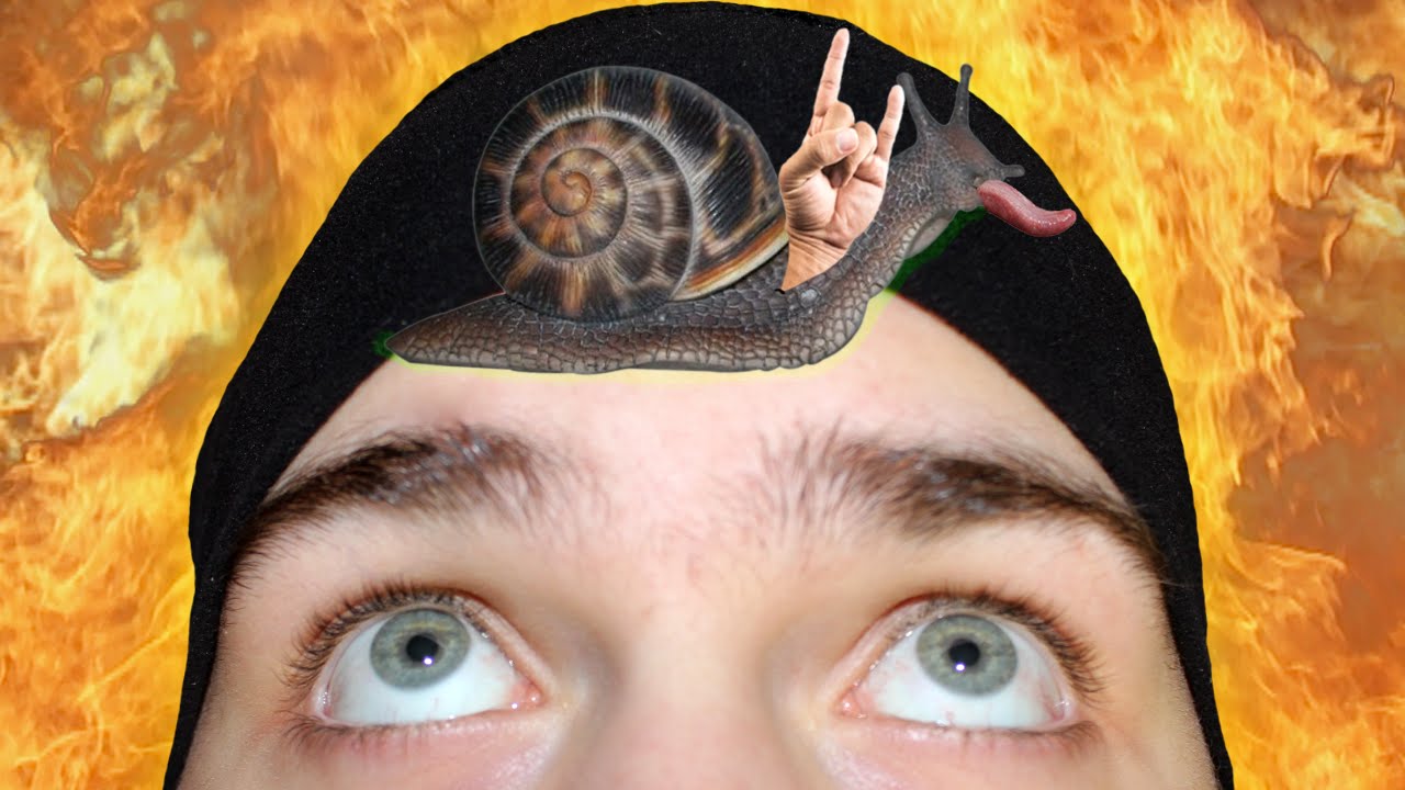 UM CARACOL MUITO HARDCOL