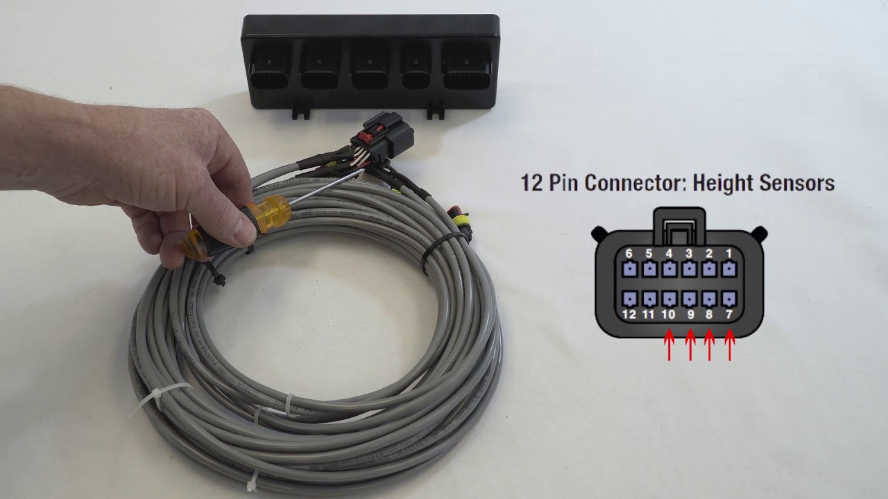 Video 3 Level Ride Main harness wiring