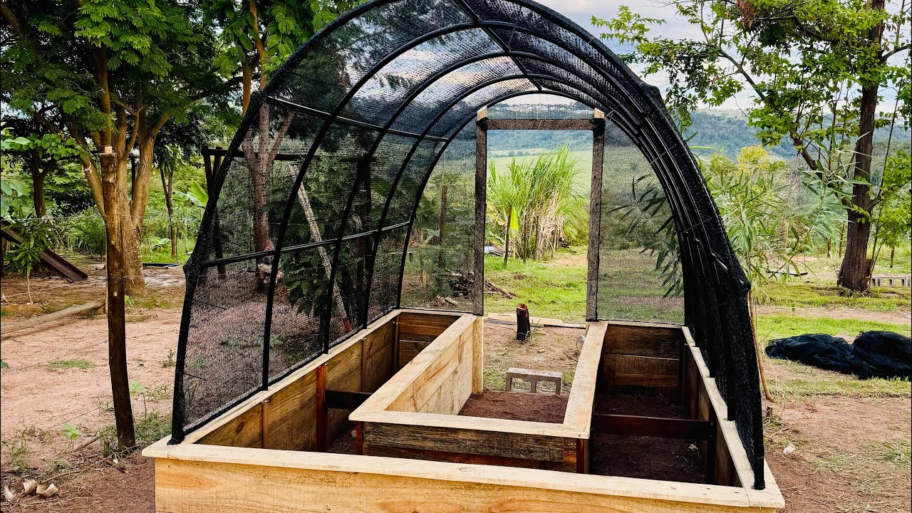 Agora sim vc vai ter uma Mini horta no quintal da sua casa