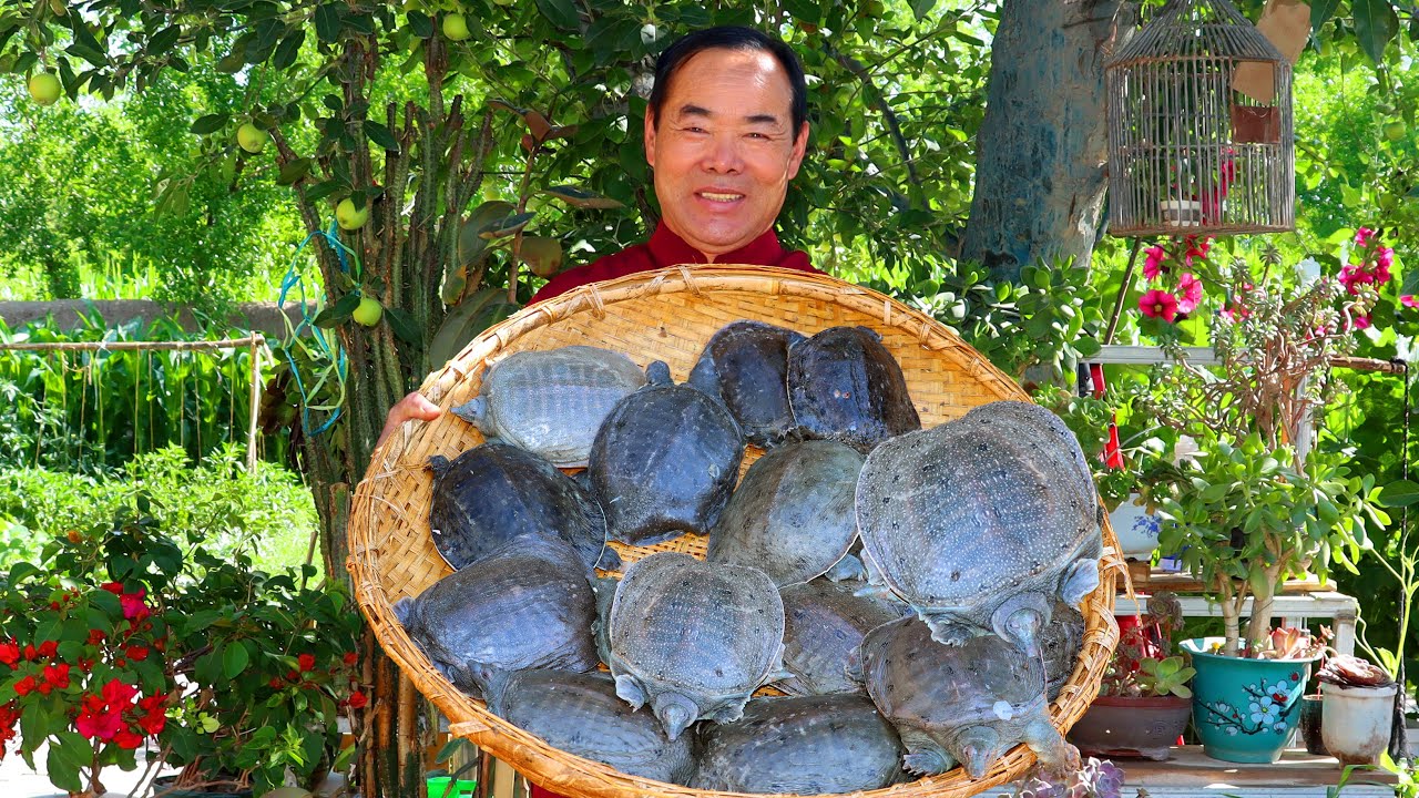 The Ultimate Soft-Shell Turtle Braised in a Chili Mountain — Perfect for Spice Fans!