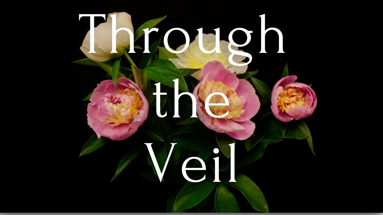 Michael Kim-Sheng - Through the Veil