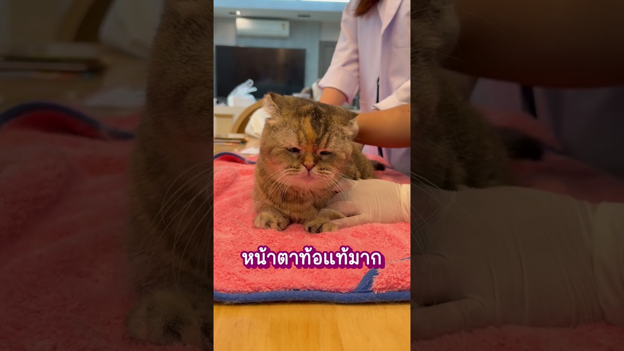 ถึงเวลาตรวจสขุภาพและทำวัคซีนประจำปี 68 !