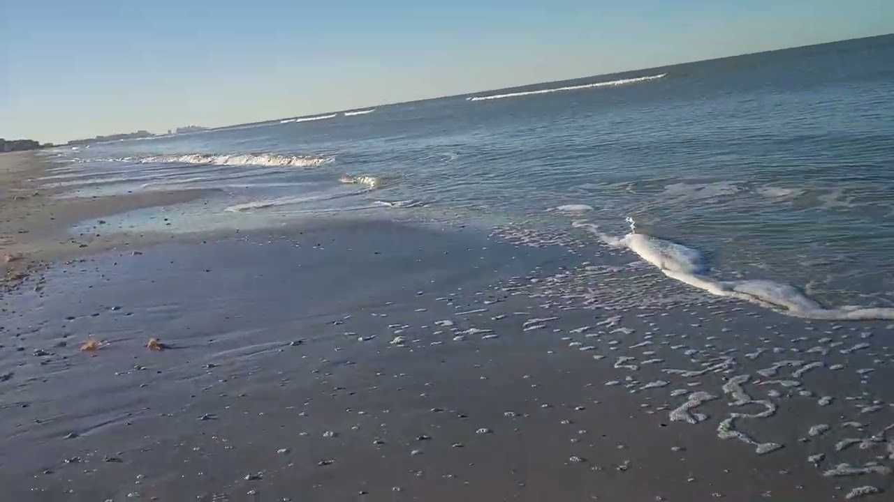 Morning walk on Bonita Beach