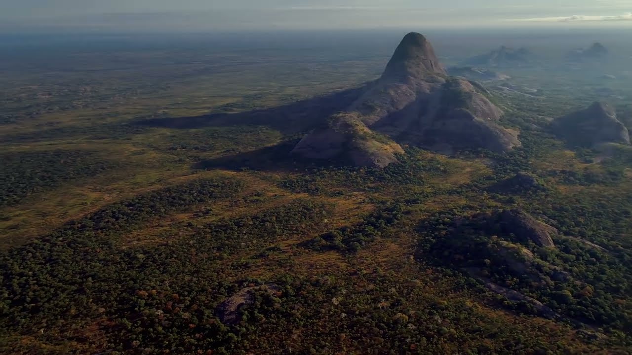Conservation Projects Mozambique