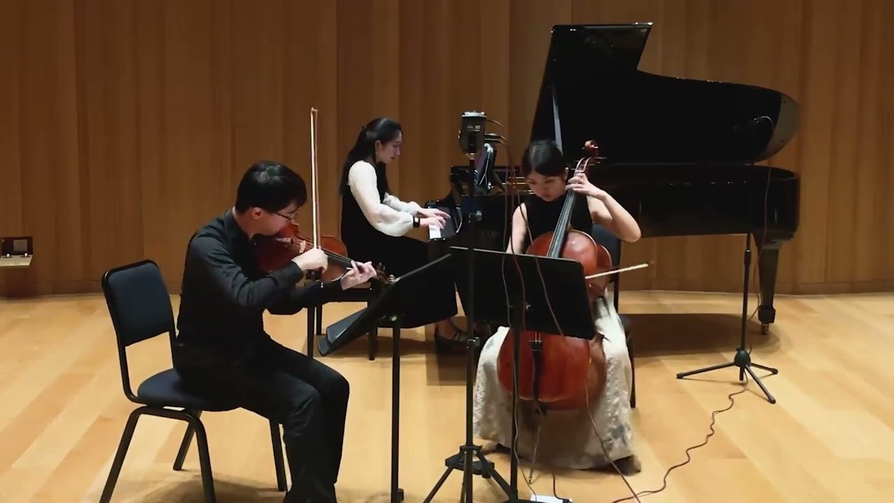 Beethoven Piano Trio Op.1 No.1 Movement 1