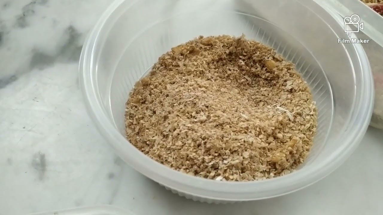 (不喜勿入) 如何養殖麵包蟲和大麥皮蟲