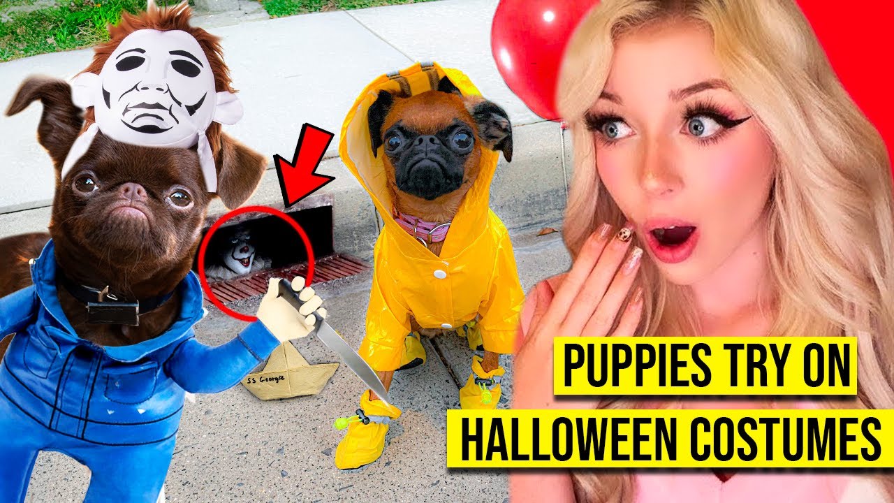 I Bought my PUPPIES the CRAZIEST Halloween Costumes!! (*THEY TRY THEM ON!*)
