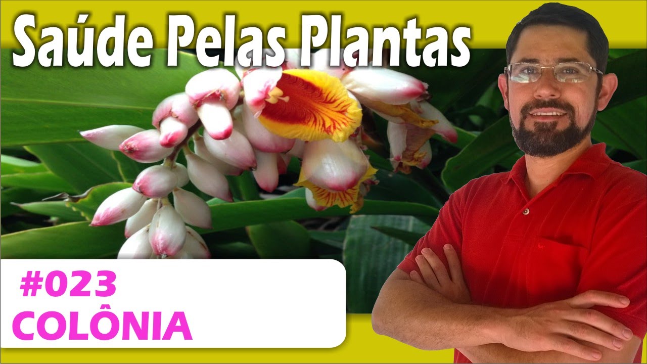Sa&uacute;de Pelas Plantas - Colonia [antidepressivo, calmante, press&atilde;o arterial, &uacute;lceras, diur&eacute;tica]