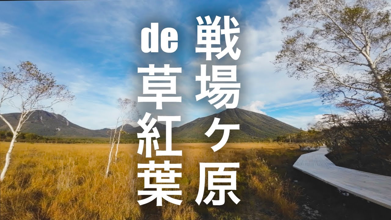 【草紅葉】戦場ヶ原を丸１日ハイキングしたら撮影スポットが多すぎて写真フォルダが爆発した件