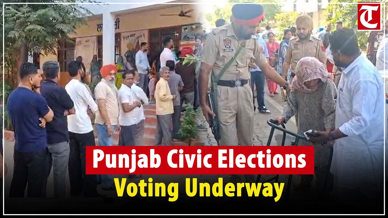 Punjab civic body elections: Voting under way; 35L voters to decide fate of 7,555 candidates