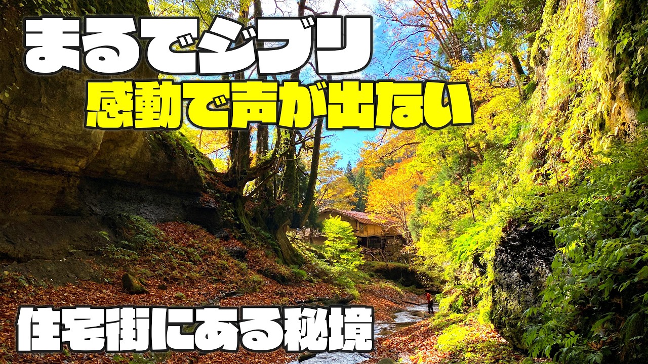 【秘境】ジブリの世界に迷い込んだ！静寂に包まれた滝　鳥取若桜町の『権現滝』が美しすぎた