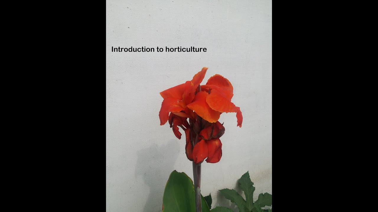 Introduction to Horticulture #horticulture #agriculture #hortus