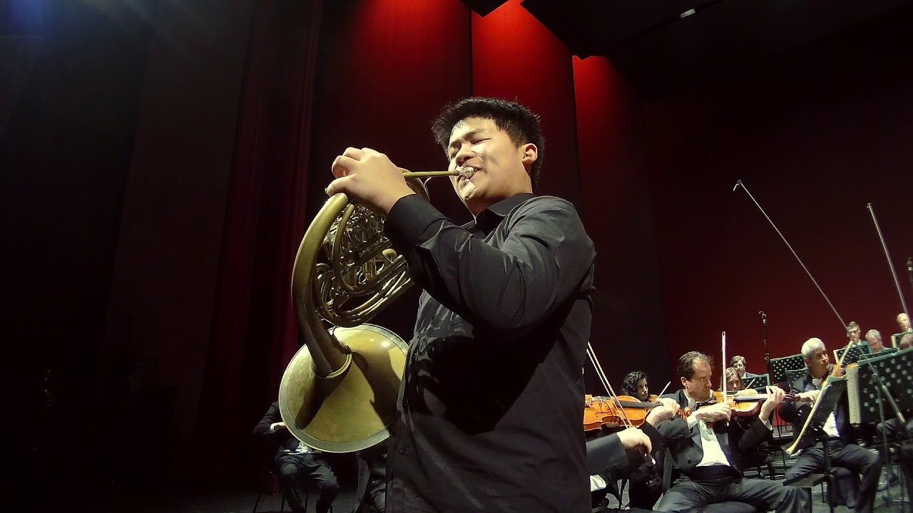 Yun Zeng (Cina): R. Strauss: Concerto #1 per corno e orchestra op.11