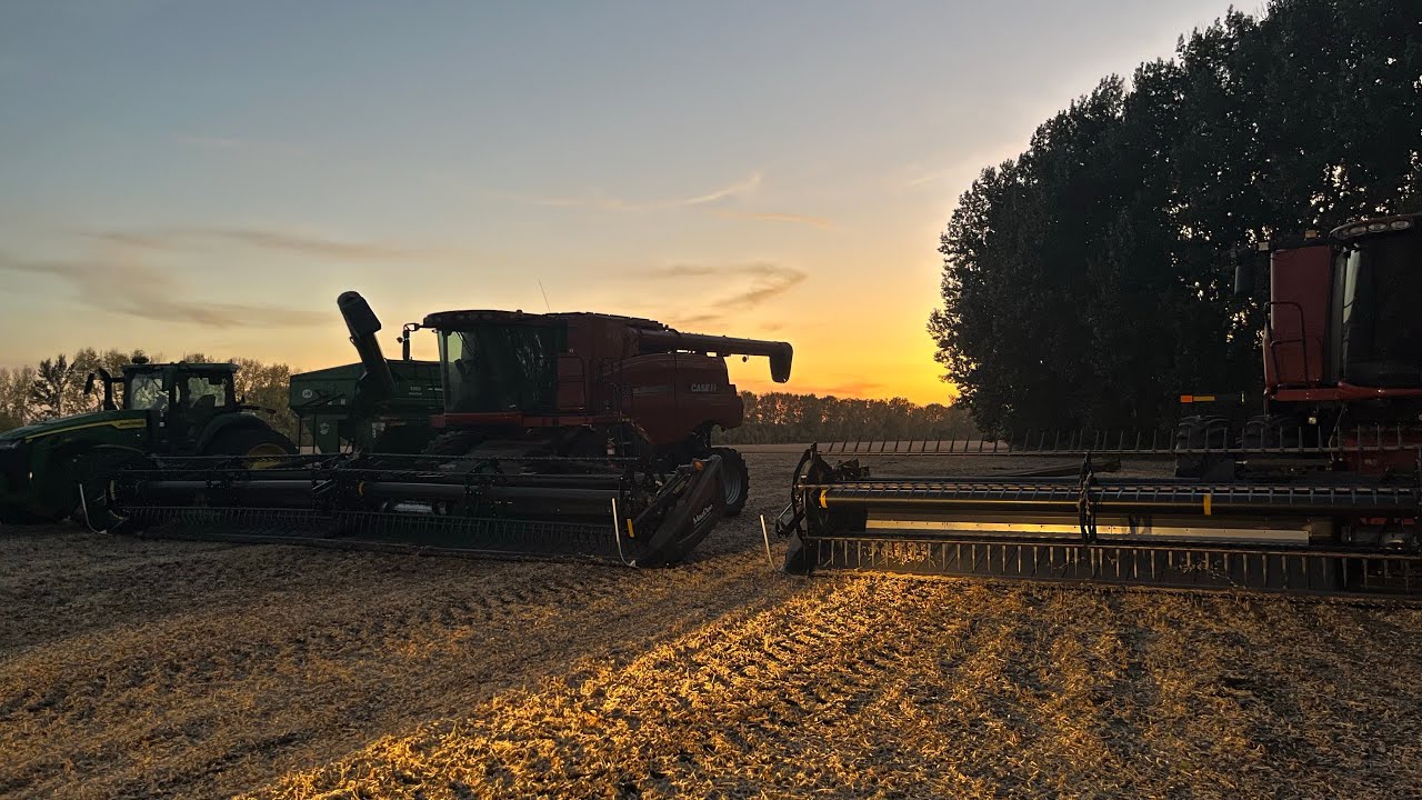 Soybean Harvest Begins and Ends quickly || Spreading Some Fertilizer || Bin Repairs
