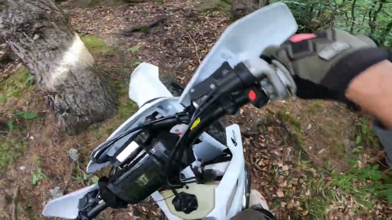 Husqvarna Te 300 pro  #3