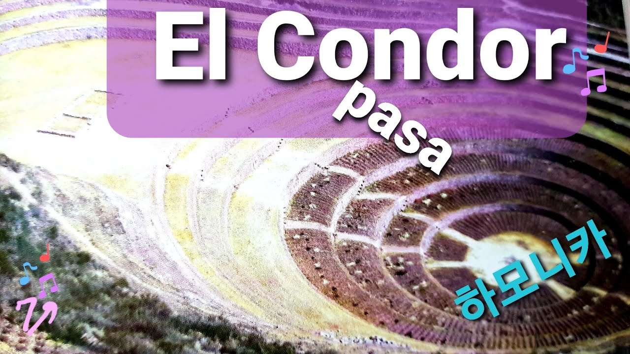 El Condor Pasa(철새는 날아가고). 하모니카 독주