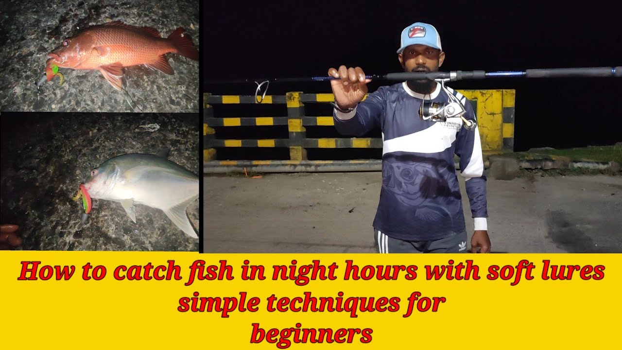 How to cath fish in night hours with soft lures,Simple techniques for beginners in Hindi