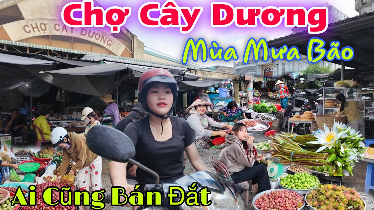 về kiên giang đi chợ CÂY DƯƠNG Tân Thành Quá Vui - Chợ Bán Toàn Rau Đồng Và Cá Đồng