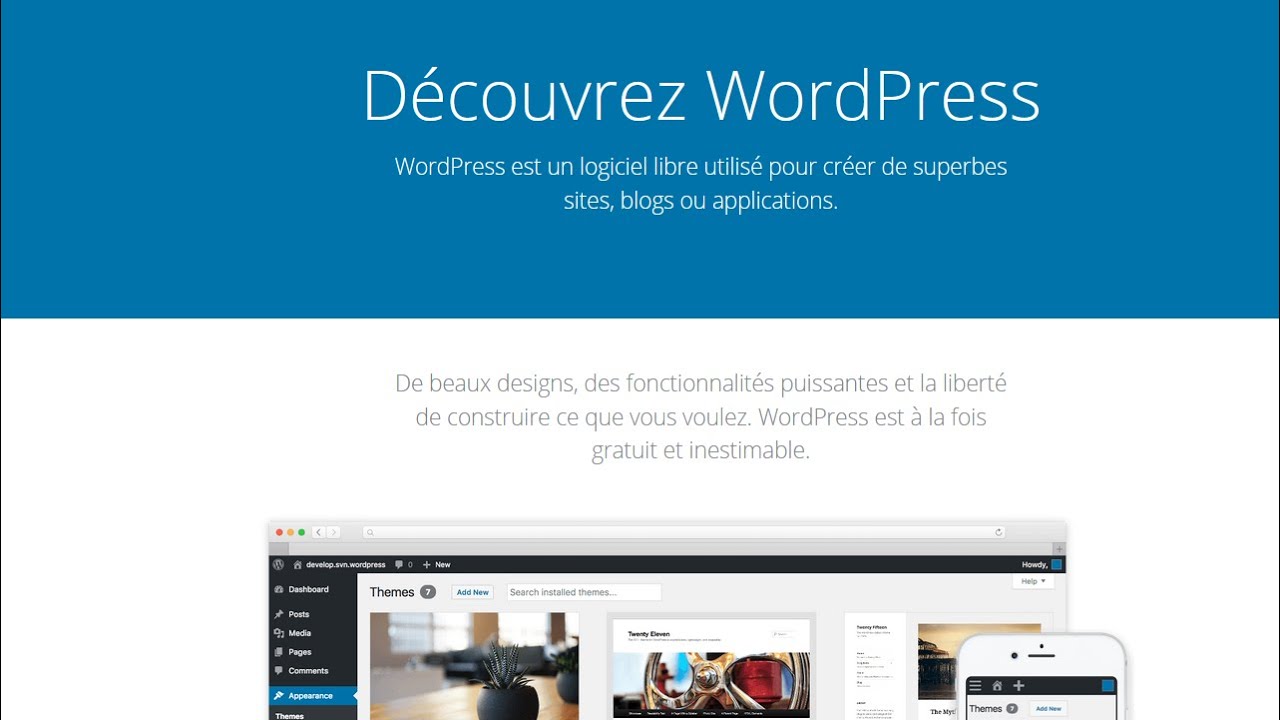 Installez WordPress 5/6