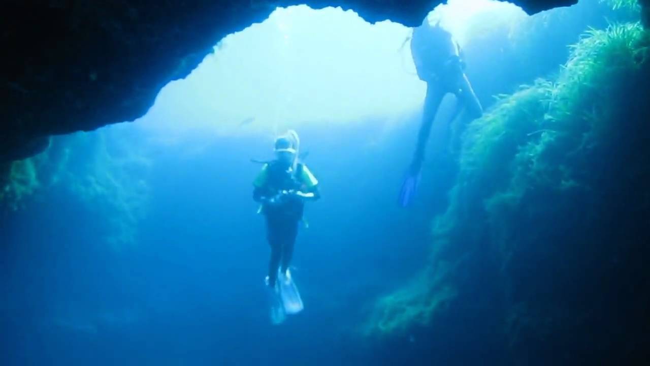 Diving Malta - Wrecks, reefs, a cave and a Seahorse!