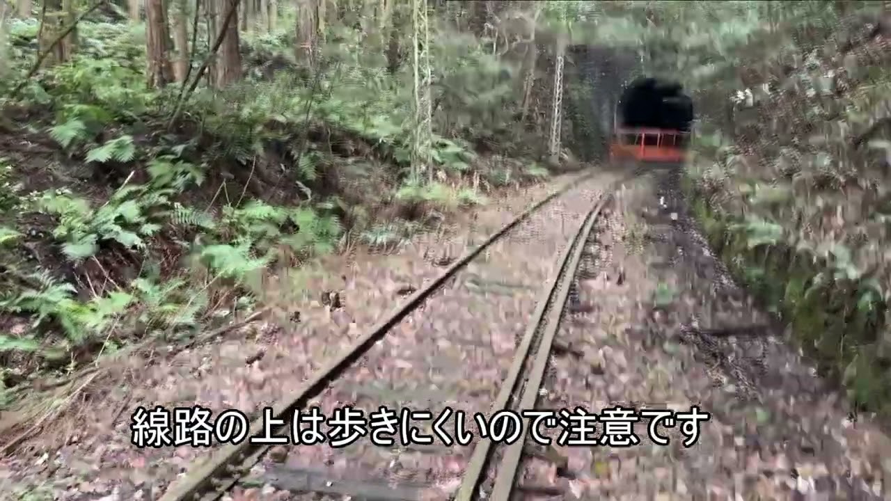 廃線に眠るトンネル「三河線」#鉄道 #名鉄 #トンネル