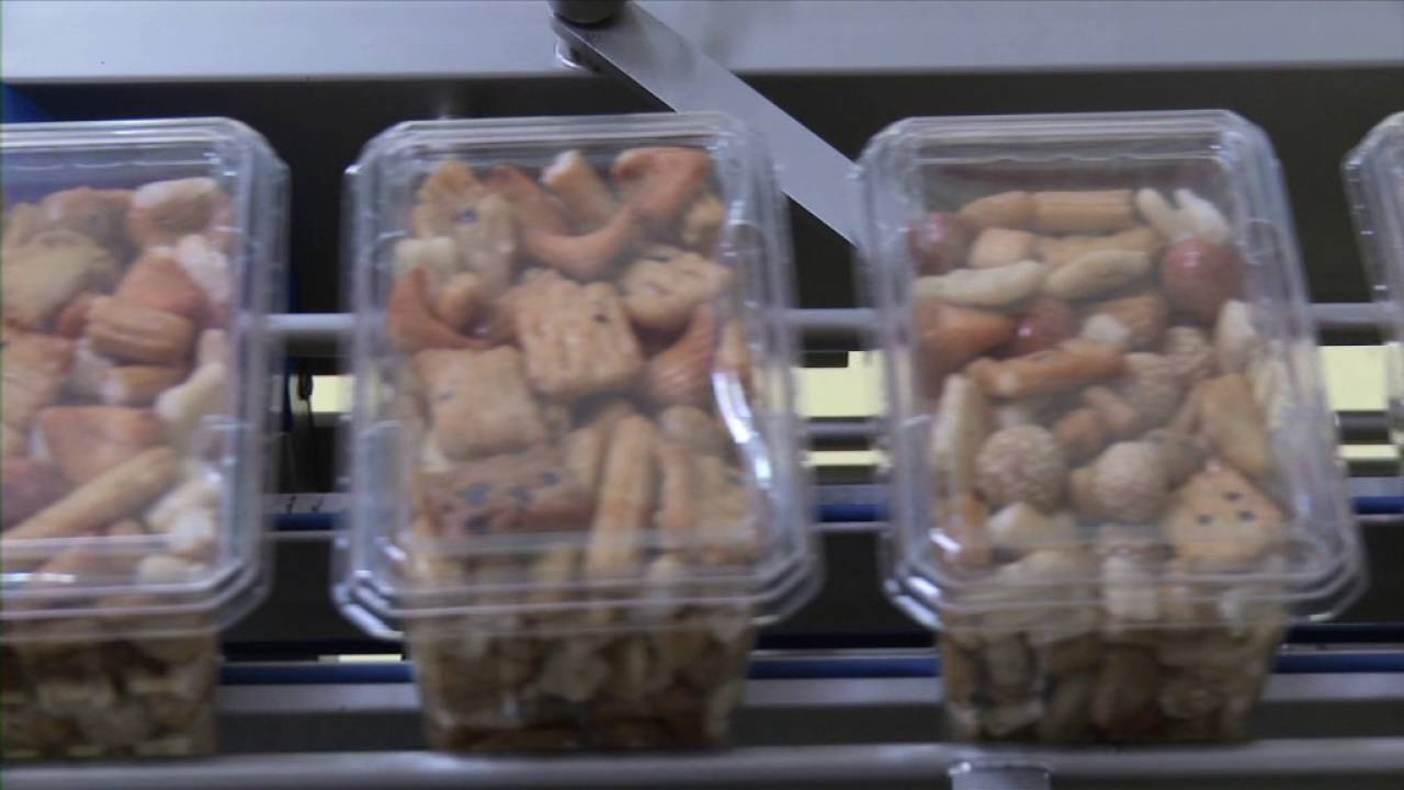SEALPAC SP800 for nuts Snack Connection, The Netherlands