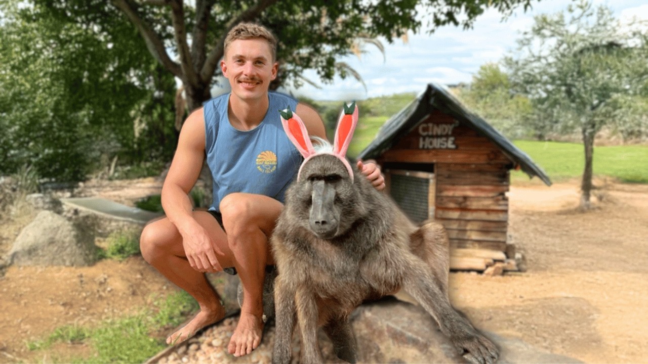 Baboon Easter Egg Hunt