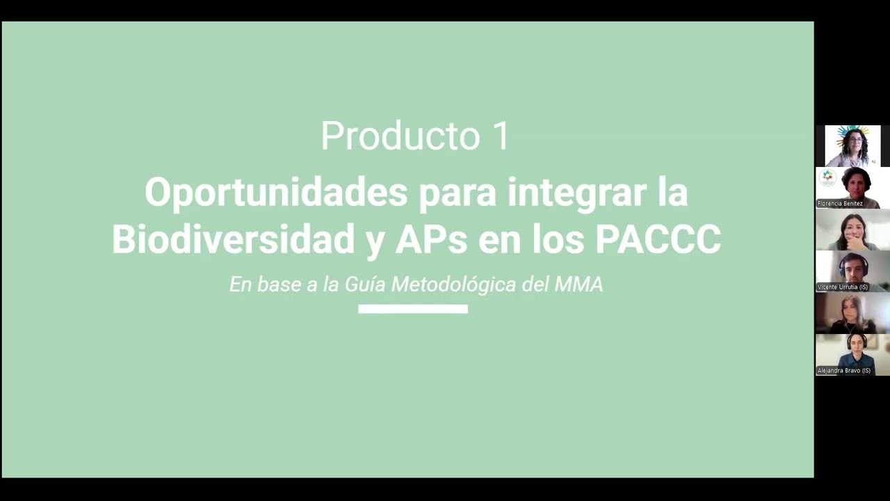 Planes de Cambio Climático: Cierre Consultoría Patagonia.