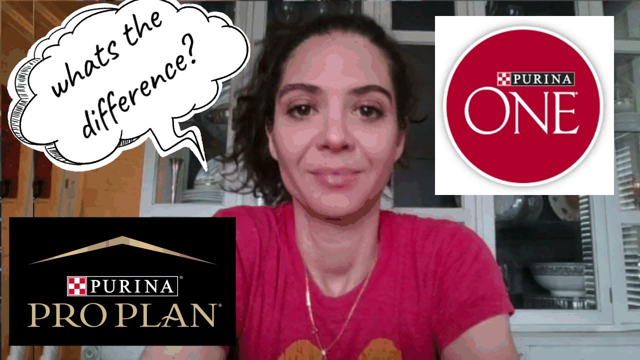 Обзор корма для собак: Purina One и Purina Pro Plan: в чем разница между брендами?
