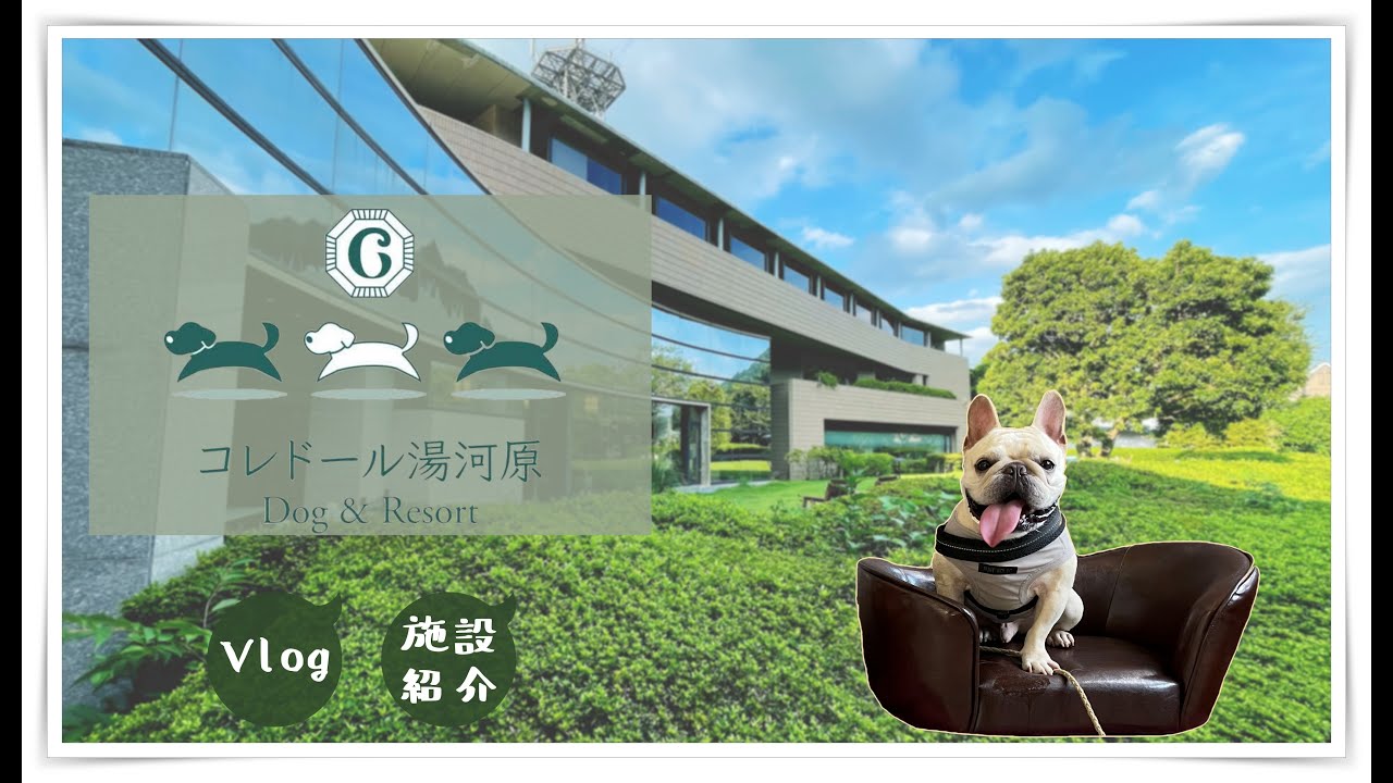 コレドール湯河原はペットと一緒に過ごせる素敵なホテルでした♪