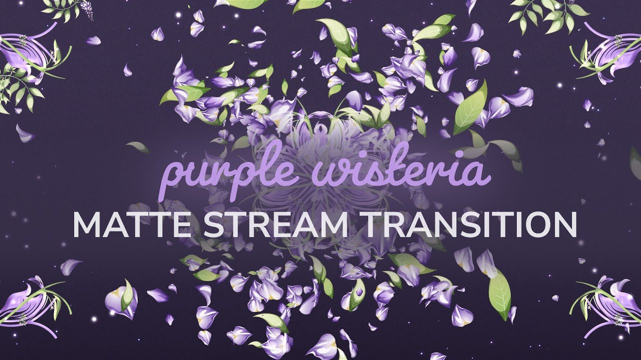 Pastel Purple Wisteria Matte Transition | OBS Stinger Streamlabs Scenes Stinger | Twitch Transition